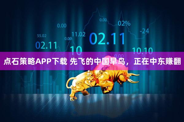 点石策略APP下载 先飞的中国早鸟，正在中东赚翻