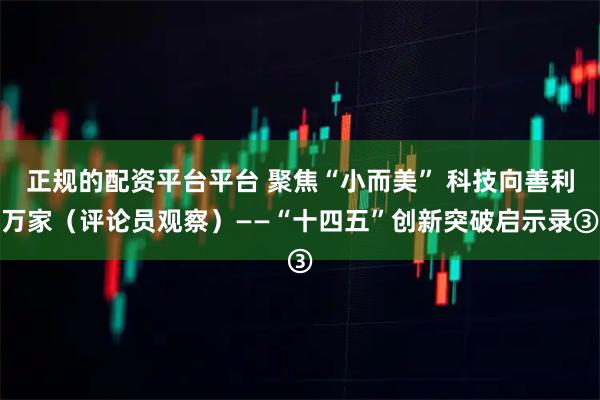 正规的配资平台平台 聚焦“小而美” 科技向善利万家（评论员观察）——“十四五”创新突破启示录③