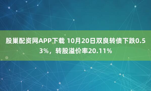 股巢配资网APP下载 10月20日双良转债下跌0.53%，转股溢价率20.11%