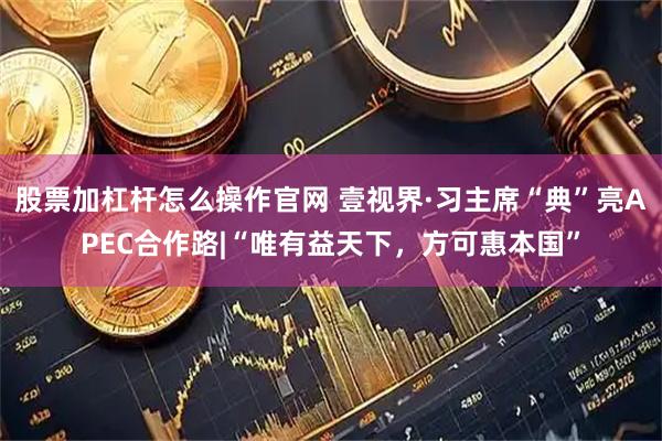股票加杠杆怎么操作官网 壹视界·习主席“典”亮APEC合作路|“唯有益天下，方可惠本国”