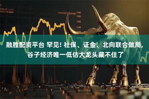融胜配资平台 罕见! 社保、证金、北向联合做局, 谷子经济唯一低估大龙头藏不住了