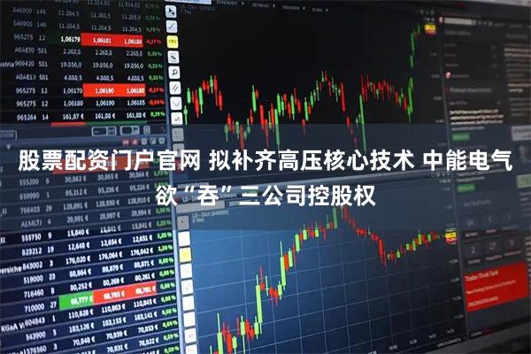 股票配资门户官网 拟补齐高压核心技术 中能电气欲“吞”三公司控股权