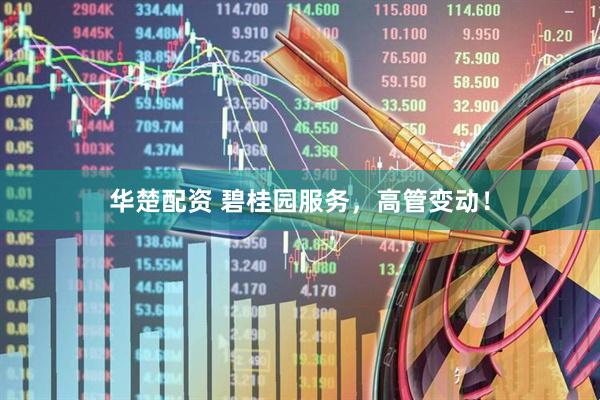 华楚配资 碧桂园服务，高管变动！