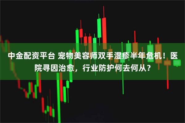 中金配资平台 宠物美容师双手湿疹半年危机！医院寻因治愈，行业防护何去何从？