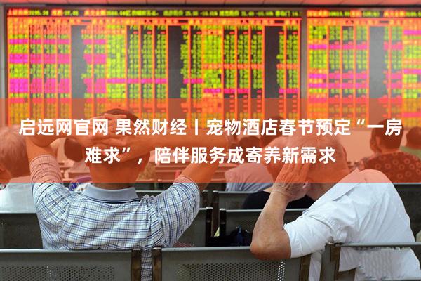 启远网官网 果然财经丨宠物酒店春节预定“一房难求”，陪伴服务成寄养新需求